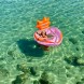 Colac pentru adulţi SUNNYLIFE S41LPRST Strawberry Pink