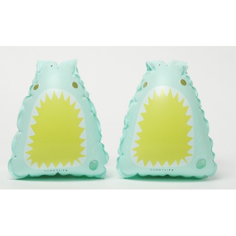 Aripioare înot SUNNYLIFE SCIFBAQU Aqua